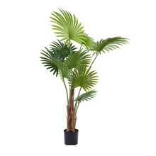 Naložite sliko v pregledovalnik galerije, Umetna palma v vazi – 150 cm visoka