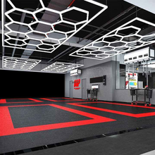 Naložite sliko v pregledovalnik galerije, Šestkotna LED osvetlitev za garaže in delavnice (244x485 cm)