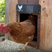 Naložite sliko v pregledovalnik galerije, Samodejna vrata za piščančje cope