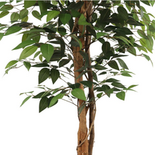 Naložite sliko v pregledovalnik galerije, Umetni les ficus - 160 cm