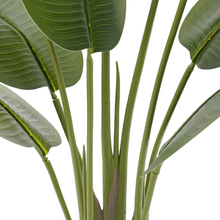 Naložite sliko v pregledovalnik galerije, Umetna rastlina – puščica z velikimi listi, višina 110 cm