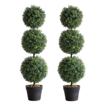 Naložite sliko v pregledovalnik galerije, Umetna rastlina - Cipresa