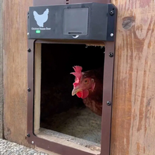 Naložite sliko v pregledovalnik galerije, Samodejna vrata za piščančje cope
