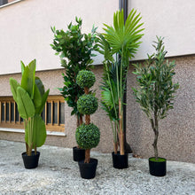 Naložite sliko v pregledovalnik galerije, Umetne rastline za vsak prostor – izberite svojo vrsto