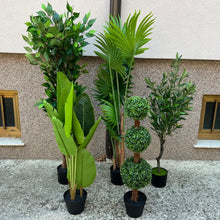 Naložite sliko v pregledovalnik galerije, Umetne rastline za vsak prostor – izberite svojo vrsto