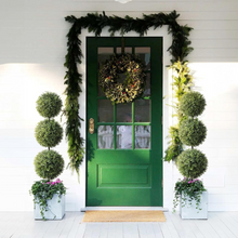 Naložite sliko v pregledovalnik galerije, Umetna rastlina - Cipresa