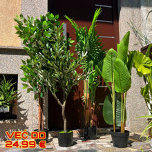 Naložite sliko v pregledovalnik galerije, Umetne rastline za vsak prostor – izberite svojo vrsto