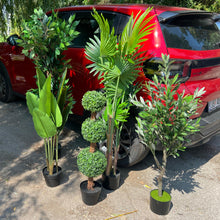 Naložite sliko v pregledovalnik galerije, Umetne rastline za vsak prostor – izberite svojo vrsto