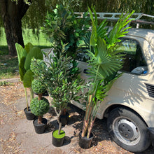 Naložite sliko v pregledovalnik galerije, Umetne rastline za vsak prostor – izberite svojo vrsto