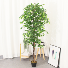 Naložite sliko v pregledovalnik galerije, Umetne rastline za vsak prostor – izberite svojo vrsto