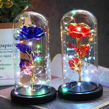 Naložite sliko v pregledovalnik galerije, Večna vrtnica v stekleni kupoli