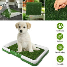 Naložite sliko v pregledovalnik galerije, WC za pse in mačke