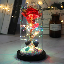 Naložite sliko v pregledovalnik galerije, Večna vrtnica v stekleni kupoli